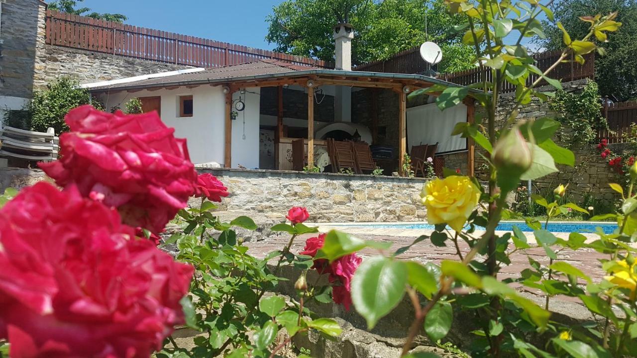 Rosarium Residence Guest House Dryanovo Luaran gambar