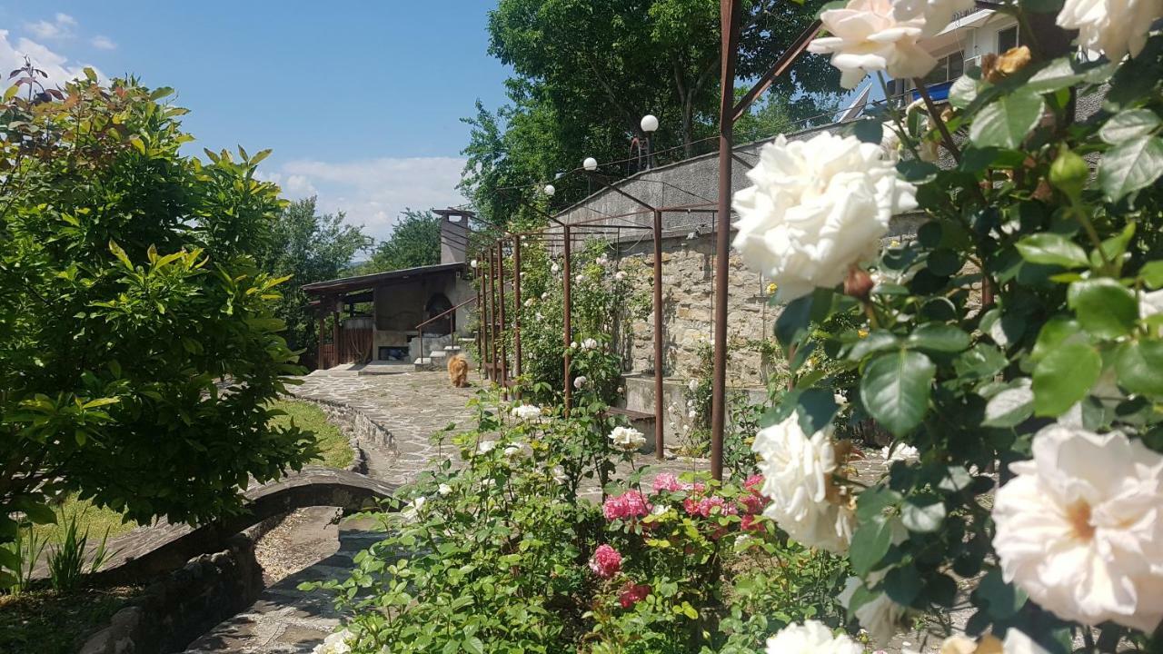 Rosarium Residence Guest House Dryanovo Luaran gambar